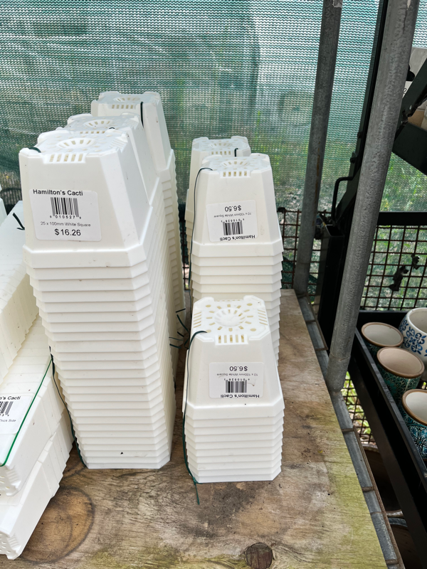 100mm white square pots x 25 Hamilton's World of Cacti